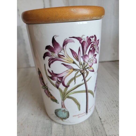 Botanic garden Amaryllis Reginae Mexican Lily large jar - Picture 8 of 12